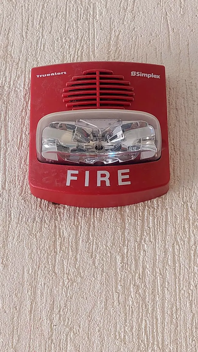 Horn strobe